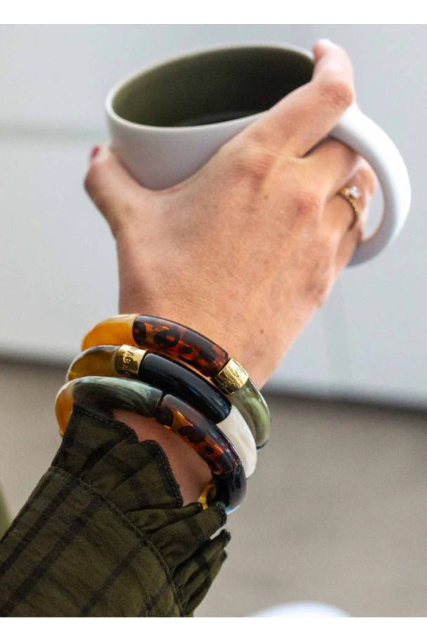 PARABAYA TRIO  GATO DO MATO