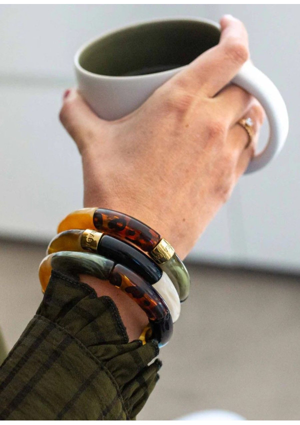 PARABAYA TRIO  GATO DO MATO PARABAYA TRIO  GATO DO MATO