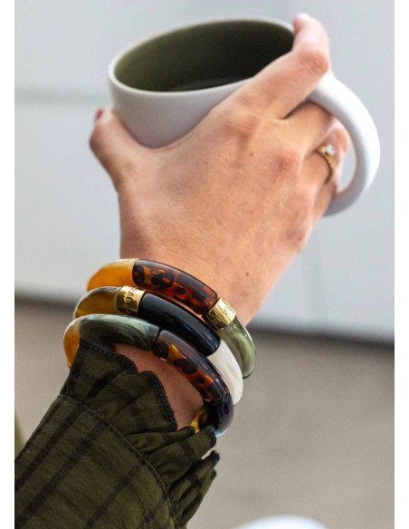 PARABAYA TRIO  GATO DO MATO PARABAYA TRIO  GATO DO MATO