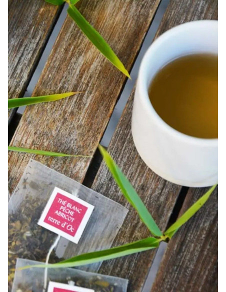 TERRE d´OC TE BLANCO PECHE ABRICOT