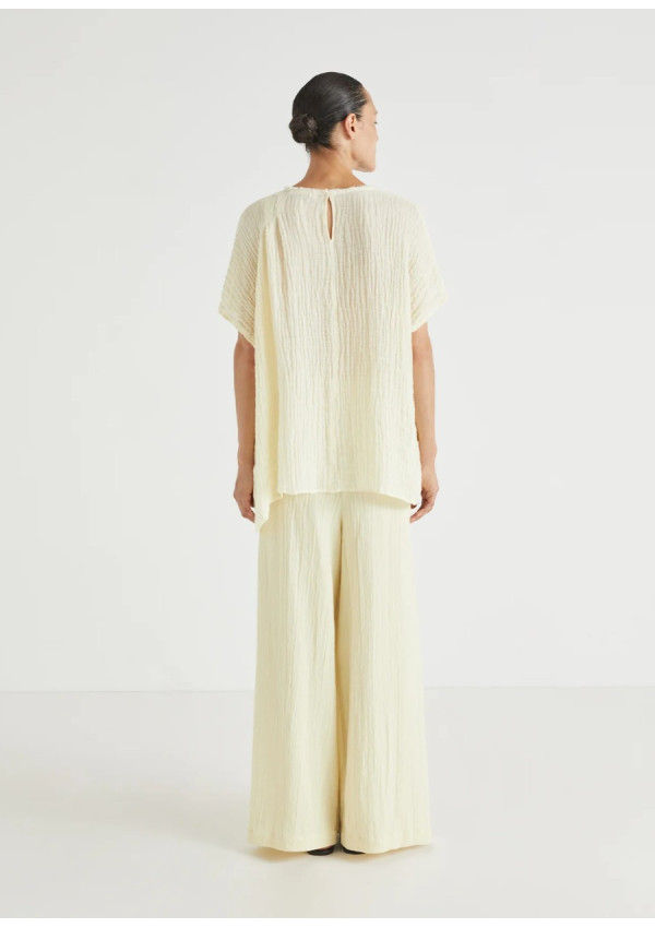 MASSCOB  TOP ANEMONE SORBET